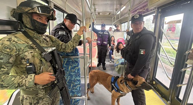 POLICÍA MUNICIPAL Y MARINA REALIZAN OPERATIVO USUARIO SEGURO EN EL MEXIBÚS