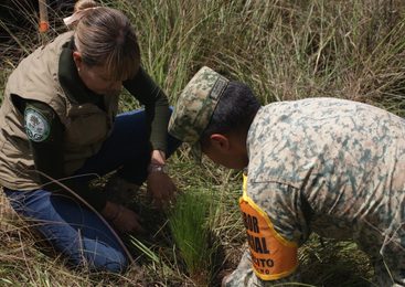 EDOMÉX LLEGA A LA META DE PLANTAR CIEN MIL ÁRBOLES CON MEGA REFORESTACIÓN -48 AÑOS SEMBRANDO VIDA-
