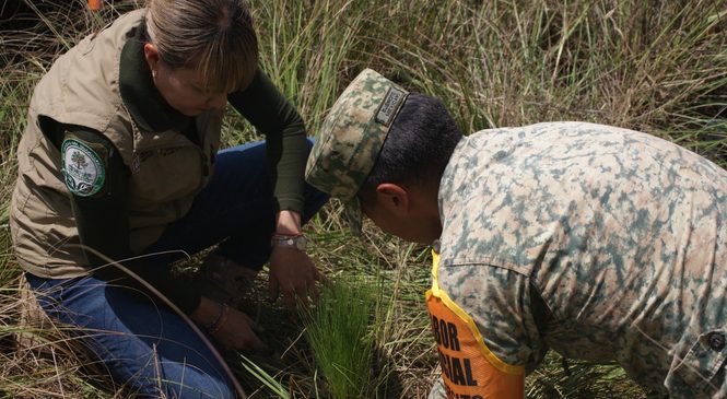 EDOMÉX LLEGA A LA META DE PLANTAR CIEN MIL ÁRBOLES CON MEGA REFORESTACIÓN -48 AÑOS SEMBRANDO VIDA-