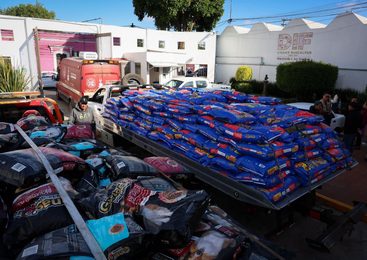 NAUCALPAN SE SUMA AL PROGRAMA CROQUETMANÍA CON MÁS DE 9 TONELADAS DE ALIMENTO PARA MICHIS Y LOMITOS RESCATADOS DE MALTRATO