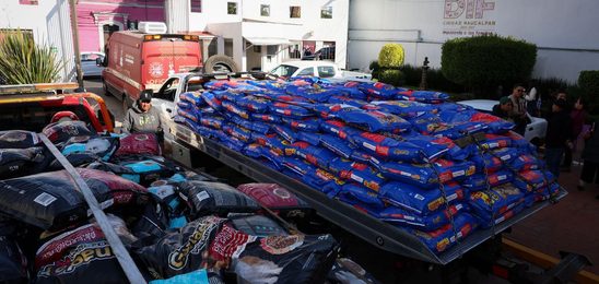 NAUCALPAN SE SUMA AL PROGRAMA CROQUETMANÍA CON MÁS DE 9 TONELADAS DE ALIMENTO PARA MICHIS Y LOMITOS RESCATADOS DE MALTRATO