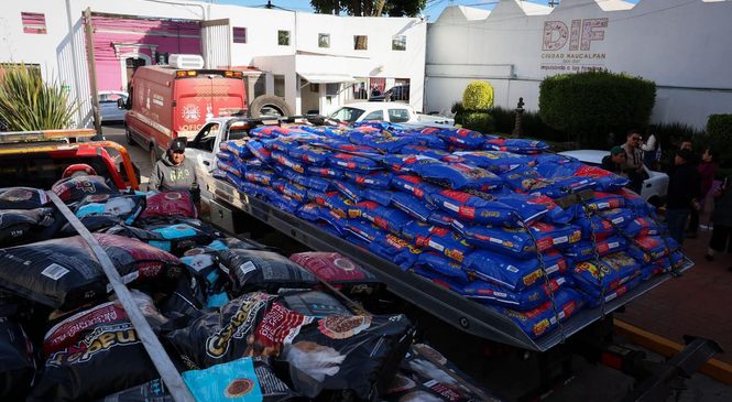 NAUCALPAN SE SUMA AL PROGRAMA CROQUETMANÍA CON MÁS DE 9 TONELADAS DE ALIMENTO PARA MICHIS Y LOMITOS RESCATADOS DE MALTRATO