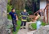 RESCATAN A MUJER EXTRAVIADA EN ZONA BOSCOSA DE VILLA ALPINA