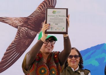 ECATEPEC RECIBE RECONOCIMIENTO INTERNACIONAL COMO CIUDAD DE LAS AVES POR SU RIQUEZA NATURAL