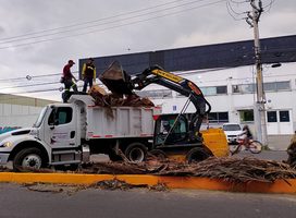 TLALNEPANTLA DESPLIEGA JORNADA DE LIMPIEZA Y ATENCIÓN VETERINARIA EN LOS REYES IXTACALA