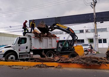TLALNEPANTLA DESPLIEGA JORNADA DE LIMPIEZA Y ATENCIÓN VETERINARIA EN LOS REYES IXTACALA