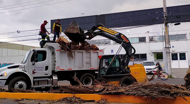 TLALNEPANTLA DESPLIEGA JORNADA DE LIMPIEZA Y ATENCIÓN VETERINARIA EN LOS REYES IXTACALA