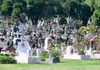 TLALNEPANTLA ACTIVA OPERATIVO TRADICIÓN SEGURA POR DÍA DE MUERTOS
